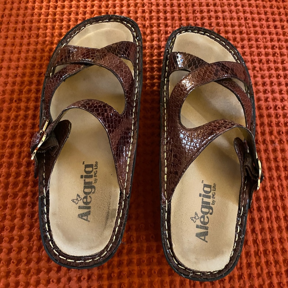 Algeria Brown Sandals Size 37